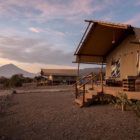 Africa Safari Lake Natron Mtowabaga Zewnętrze zdjęcie