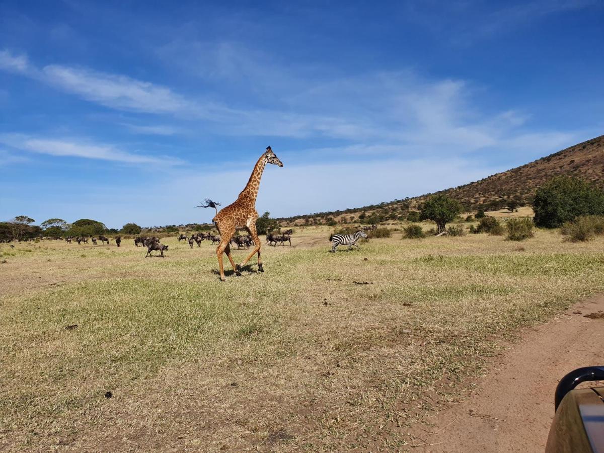 Africa Safari Lake Natron Mtowabaga Zewnętrze zdjęcie