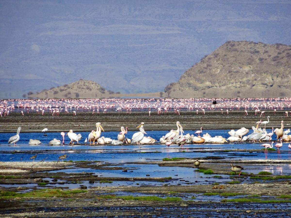 Africa Safari Lake Natron Mtowabaga Zewnętrze zdjęcie